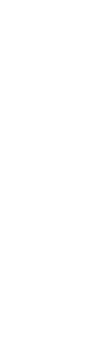 アクティブ ACTIVE